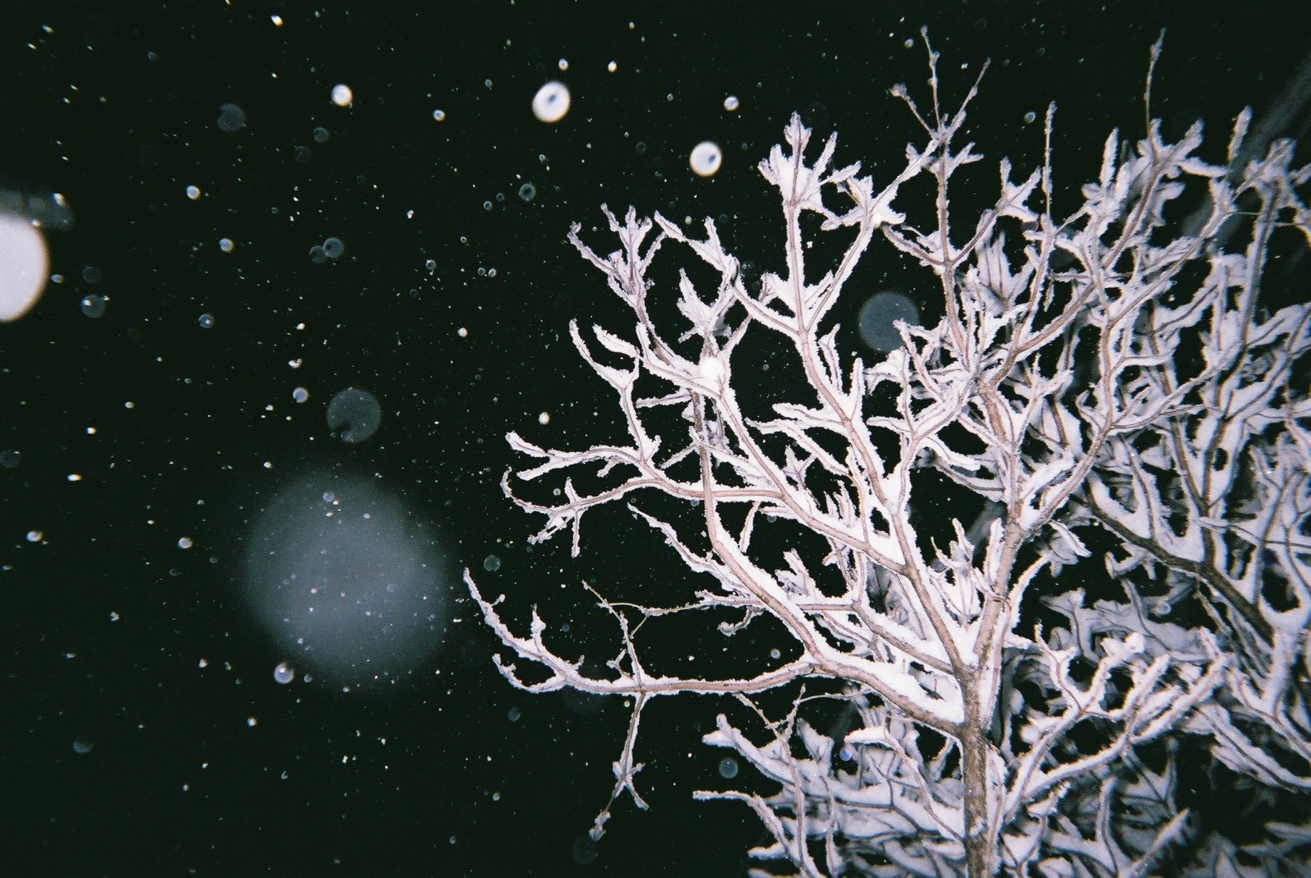 開講式・オリエンテーション